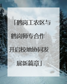 鹤岗工农区与鹤岗师专合作 开启校地协同发展新篇章