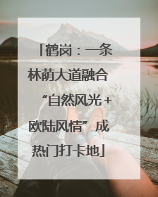 鹤岗：一条林荫大道融合“自然风光＋欧陆风情”成热门打卡地
