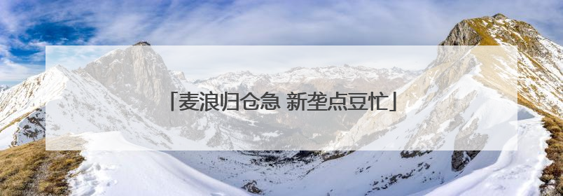 麦浪归仓急 新垄点豆忙