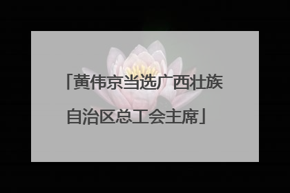 黄伟京当选广西壮族自治区总工会主席