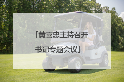 黄喜忠主持召开书记专题会议