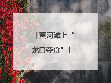 黄河滩上“龙口夺食”