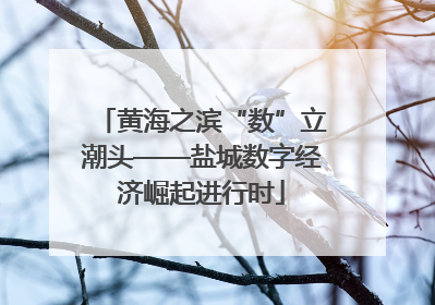 黄海之滨“数”立潮头——盐城数字经济崛起进行时