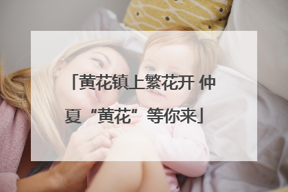 黄花镇上繁花开 仲夏“黄花”等你来