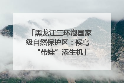 黑龙江三环泡国家级自然保护区：候鸟“带娃”添生机