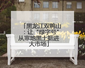 黑龙江双鸭山：让“绿字号”从寒地黑土挺进大市场