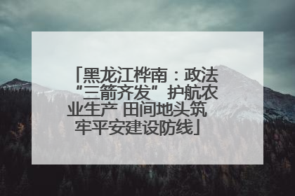 黑龙江桦南：政法“三箭齐发”护航农业生产 田间地头筑牢平安建设防线