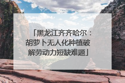 黑龙江齐齐哈尔：胡萝卜无人化种植破解劳动力短缺难题