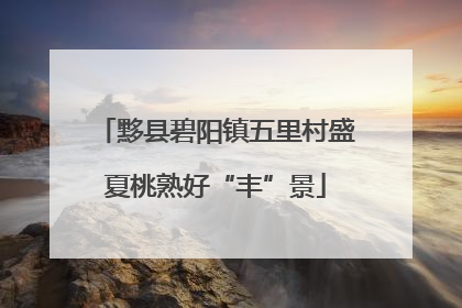 黟县碧阳镇五里村盛夏桃熟好“丰”景