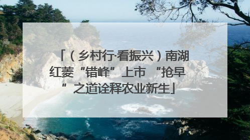 （乡村行·看振兴）南湖红菱“错峰”上市 “抢早”之道诠释农业新生