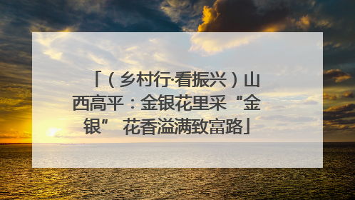 （乡村行·看振兴）山西高平：金银花里采“金银” 花香溢满致富路