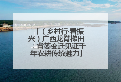 （乡村行·看振兴）广西龙脊梯田：背篓变迁见证千年农耕传统魅力