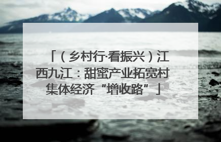 （乡村行·看振兴）江西九江：甜蜜产业拓宽村集体经济“增收路”