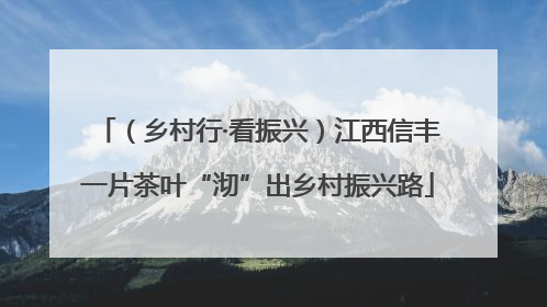 （乡村行·看振兴）江西信丰一片茶叶“沏”出乡村振兴路