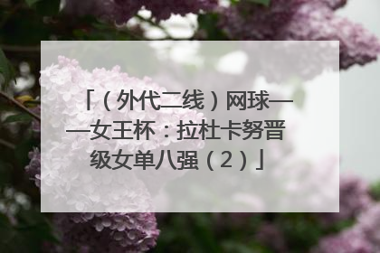 （外代二线）网球——女王杯：拉杜卡努晋级女单八强（2）