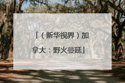 （新华视界）加拿大：野火蔓延