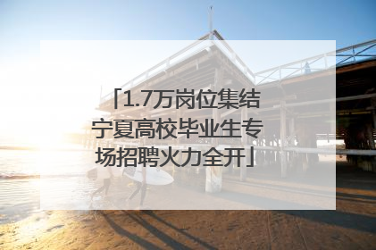 1.7万岗位集结 宁夏高校毕业生专场招聘火力全开