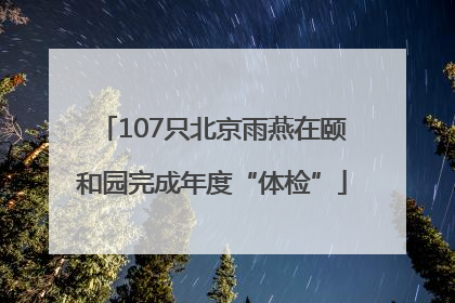 107只北京雨燕在颐和园完成年度“体检”