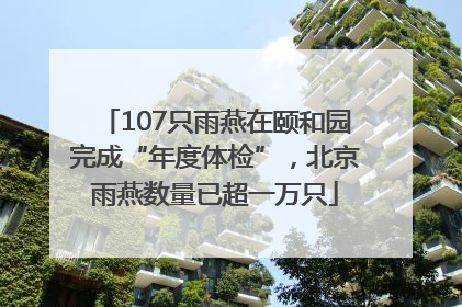 107只雨燕在颐和园完成“年度体检”，北京雨燕数量已超一万只