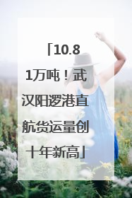 10.81万吨！武汉阳逻港直航货运量创十年新高