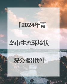 2024年青岛市生态环境状况公报出炉