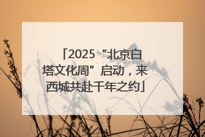 2025“北京白塔文化周”启动，来西城共赴千年之约