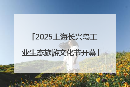 2025上海长兴岛工业生态旅游文化节开幕