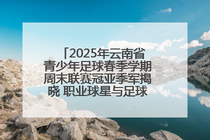 2025年云南省青少年足球春季学期周末联赛冠亚季军揭晓 职业球星与足球小将共享荣耀时刻