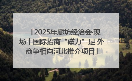 2025年廊坊经洽会·现场丨国际招商“磁力”足 外商争相向河北推介项目