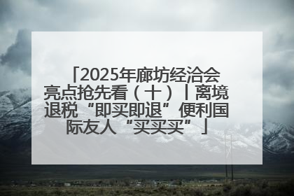 2025年廊坊经洽会亮点抢先看（十）丨离境退税“即买即退”便利国际友人“买买买”