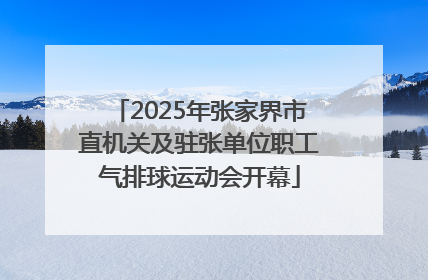2025年张家界市直机关及驻张单位职工气排球运动会开幕