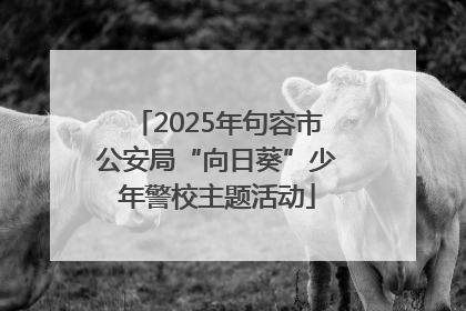 2025年句容市公安局“向日葵”少年警校主题活动