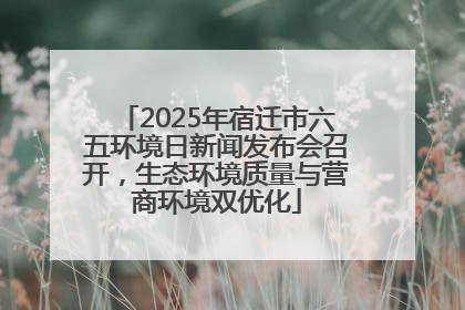2025年宿迁市六五环境日新闻发布会召开，生态环境质量与营商环境双优化
