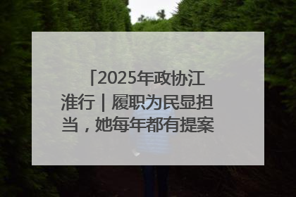 2025年政协江淮行｜履职为民显担当，她每年都有提案被评为“优秀”