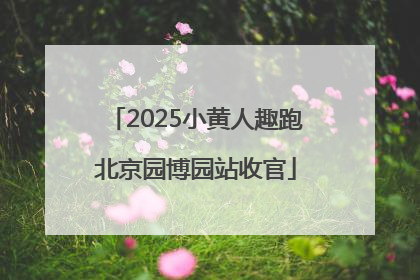 2025小黄人趣跑北京园博园站收官