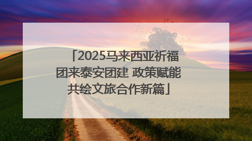 2025马来西亚祈福团来泰安团建 政策赋能共绘文旅合作新篇