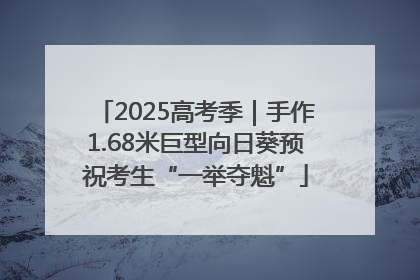 2025高考季｜手作1.68米巨型向日葵预祝考生“一举夺魁”