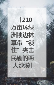 210万亩环绿洲锁边林草带“锁住”夹击民勤的两大沙漠