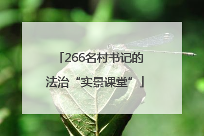 266名村书记的法治“实景课堂”
