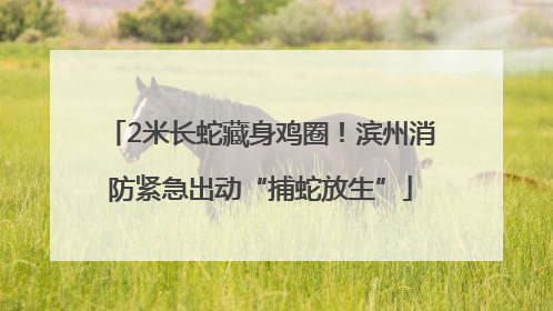 2米长蛇藏身鸡圈！滨州消防紧急出动“捕蛇放生”