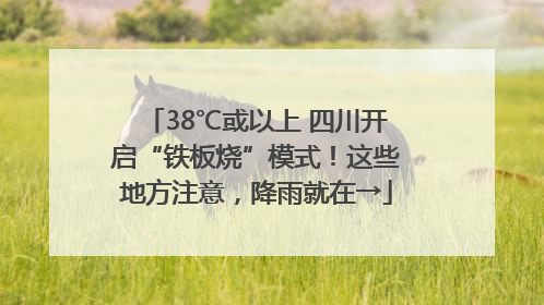 38℃或以上 四川开启“铁板烧”模式！这些地方注意，降雨就在→