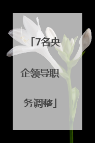 7名央企领导职务调整
