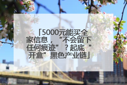5000元能买全家信息，“不会留下任何痕迹”？起底“开盒”黑色产业链