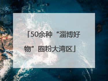 50余种“淄博好物”圈粉大湾区