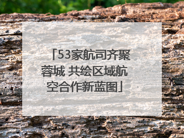 53家航司齐聚蓉城 共绘区域航空合作新蓝图