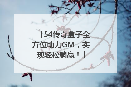 54传奇盒子全方位助力GM，实现轻松躺赢！