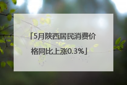 5月陕西居民消费价格同比上涨0.3%