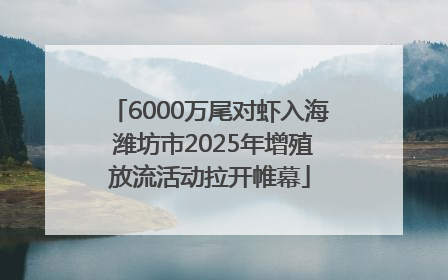6000万尾对虾入海 潍坊市2025年增殖放流活动拉开帷幕