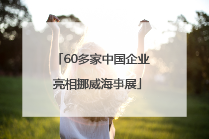 60多家中国企业亮相挪威海事展