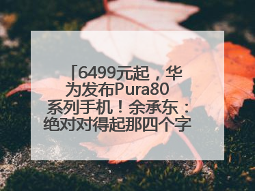 6499元起，华为发布Pura80系列手机！余承东：绝对对得起那四个字！华为近十年研发投入12490亿元